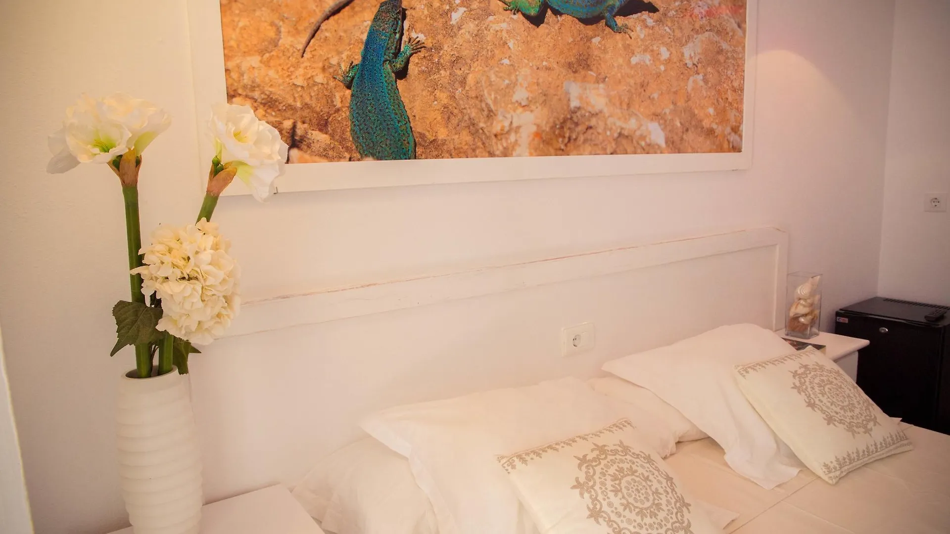 Hostal Sunset Ibiza San Antonio  Spanien